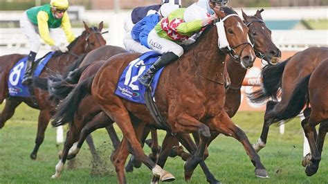 pb lawrence stakes|Pb Lawrence Stakes .